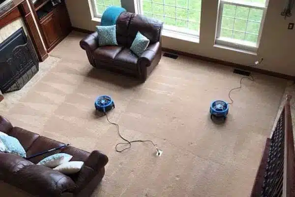 Carpet Cleaning in Fairview Heights
