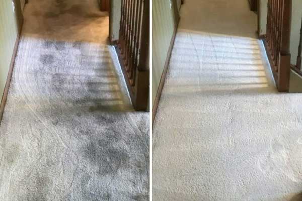 Carpet Cleaning in Shiloh