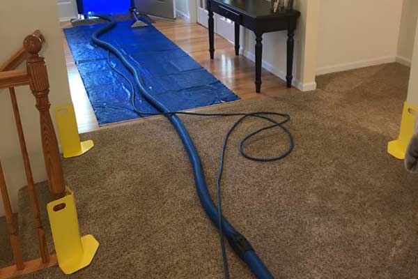 Carpet Cleaning Services in O'Fallon