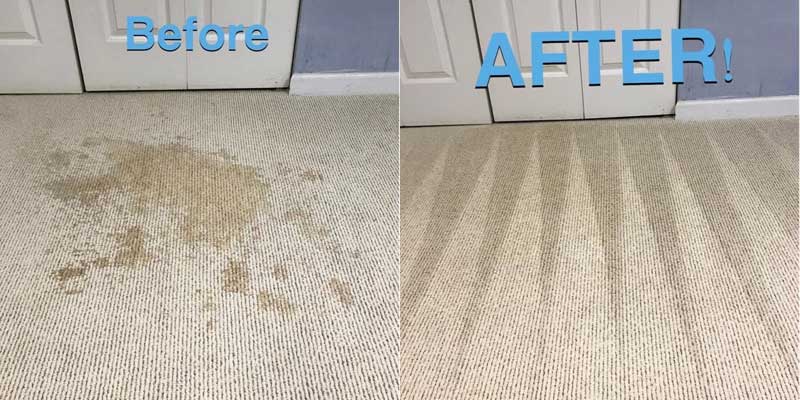 Pet Odor and Stain Removal nav
