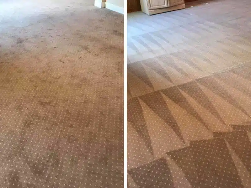 Residential Carpet Cleaning